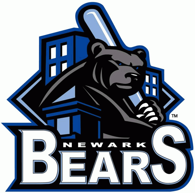 Newark Bears 2009-2010 Primary Logo iron on transfers for clothing